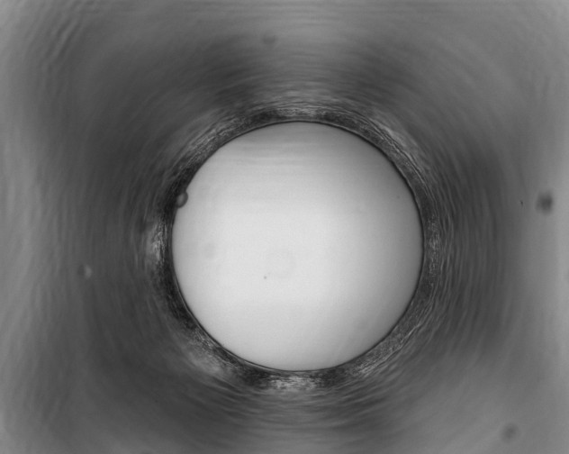X0000101150125200806270809
