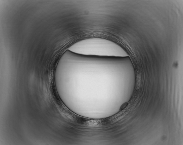 X0000101150126200806270809