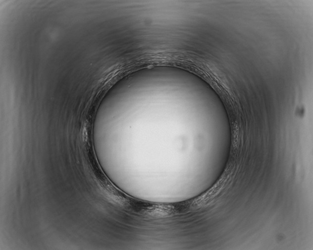 X0000101150128200806270809