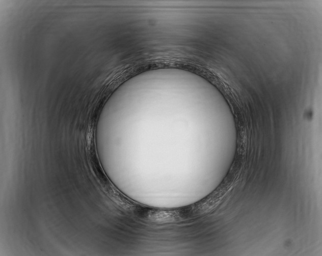 X0000101150129200806270809