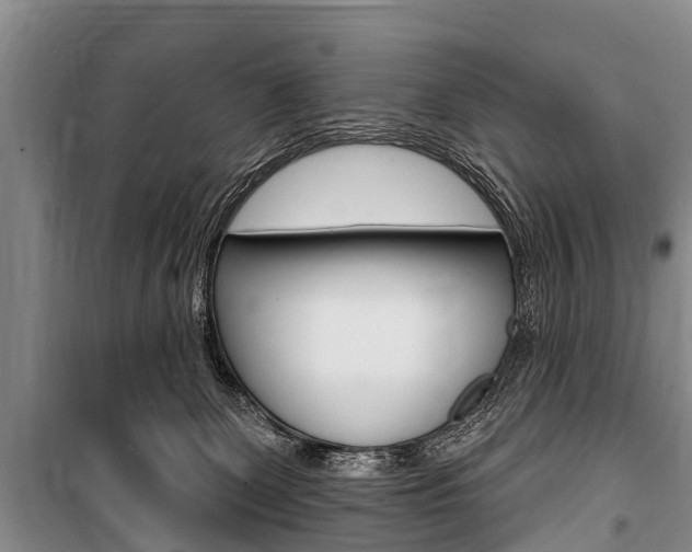 X0000101150131200806270809