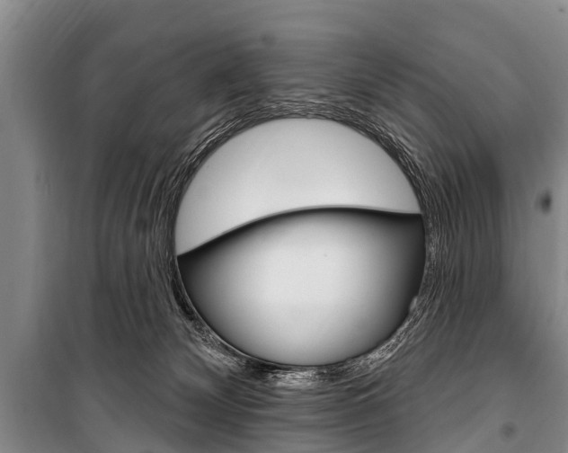 X0000101150132200806270809