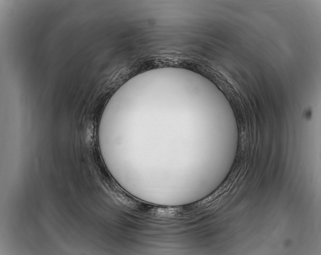 X0000101150134200806270809