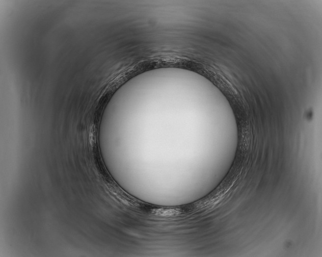 X0000101150135200806270809