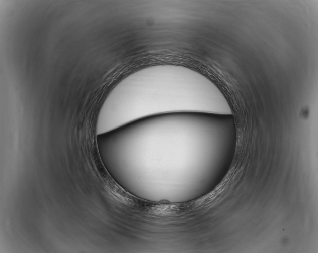 X0000101150136200806270809