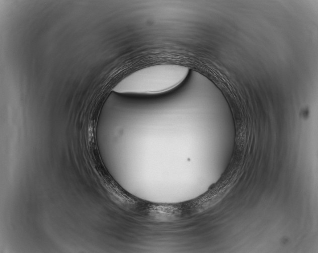 X0000101150137200806270809