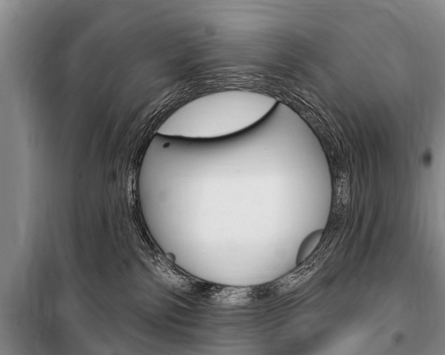X0000101150138200806270809