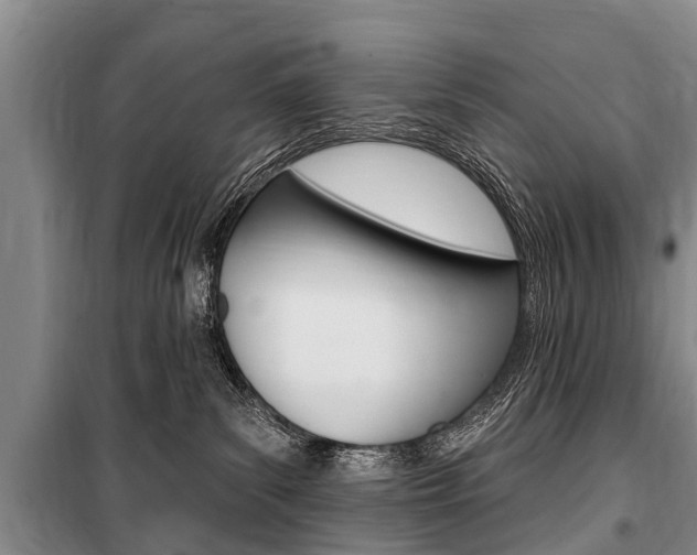 X0000101150139200806270809