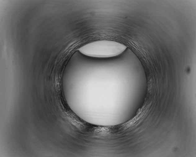 X0000101150140200806270809