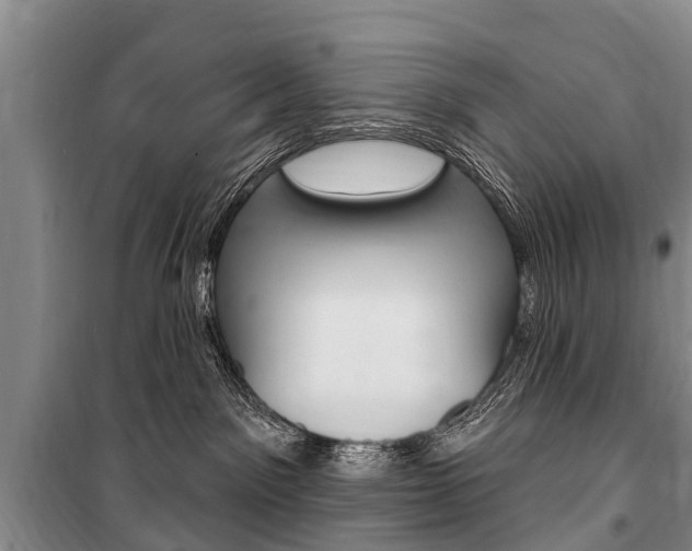 X0000101150141200806270809