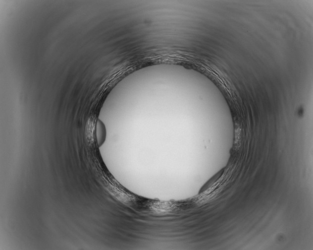 X0000101150142200806270809