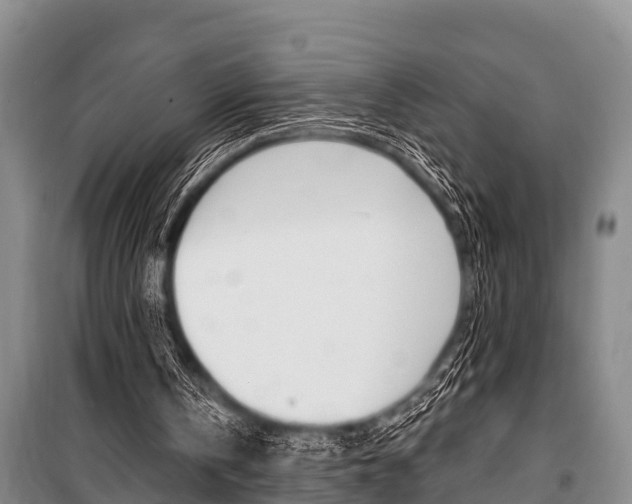 X0000101150146200806270808