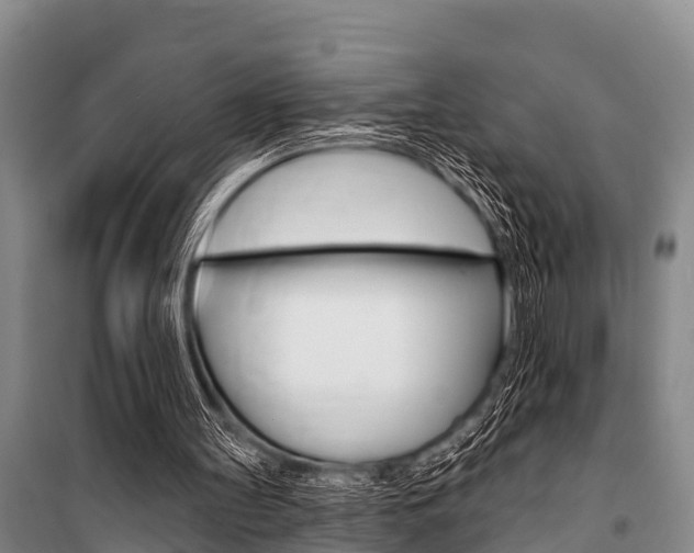 X0000101150147200806270808