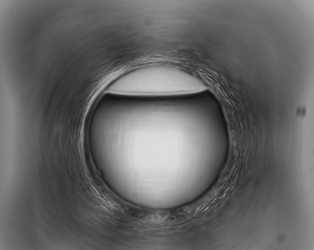 X0000101150148200806270808