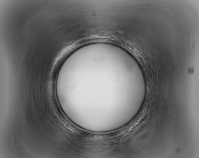 X0000101150149200806270808