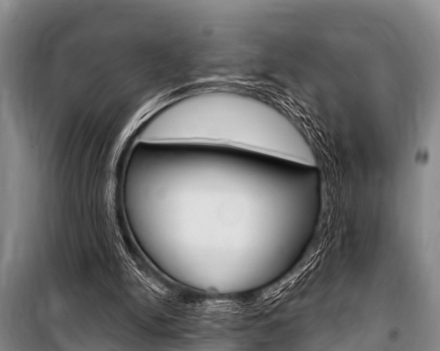 X0000101150150200806270808