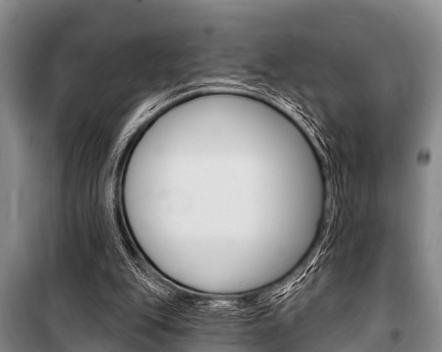 X0000101150151200806270808