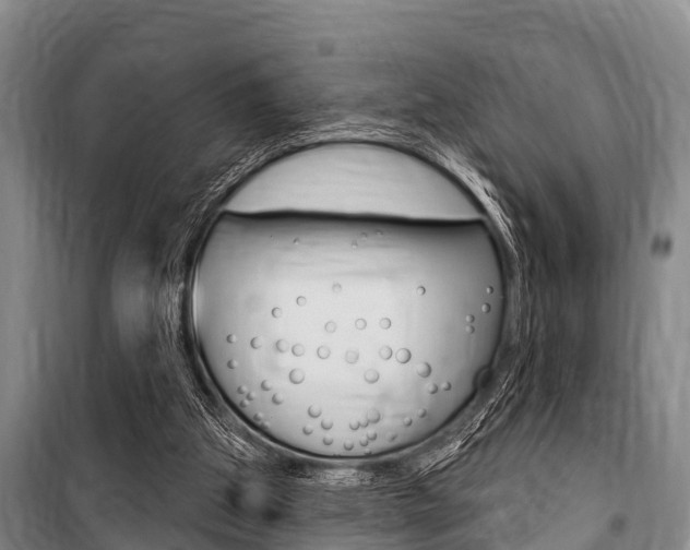 X0000101150153200806270808