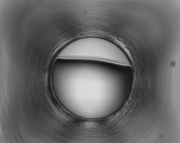 X0000101150154200806270808