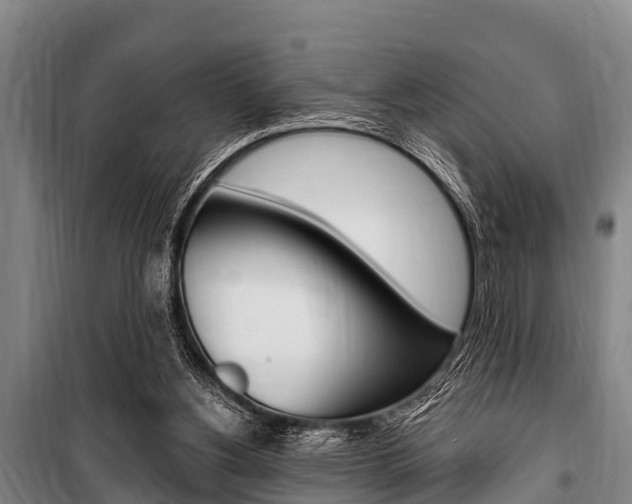 X0000101150156200806270808