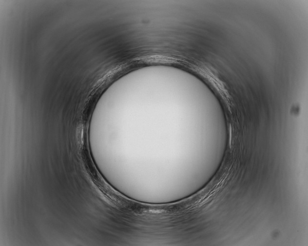 X0000101150157200806270808