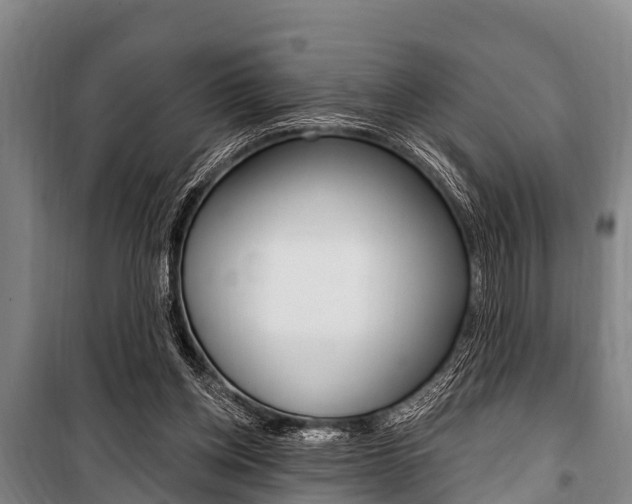 X0000101150158200806270808