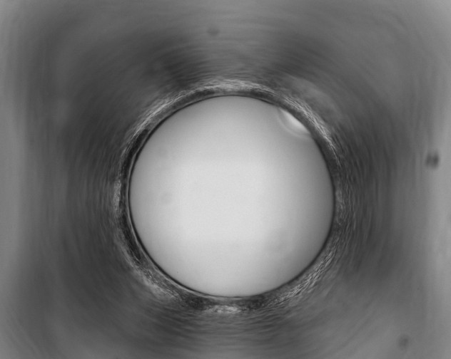 X0000101150159200806270808