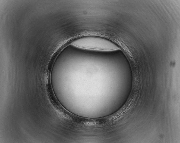 X0000101150160200806270808