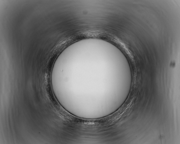 X0000101150161200806270808