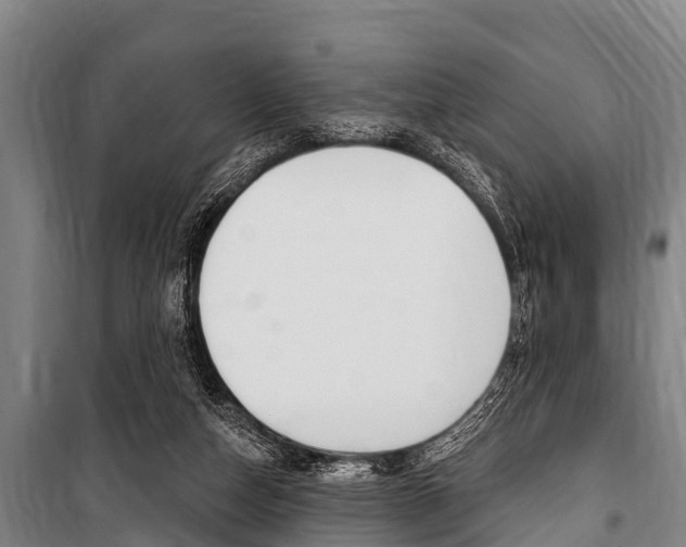 X0000101150162200806270808