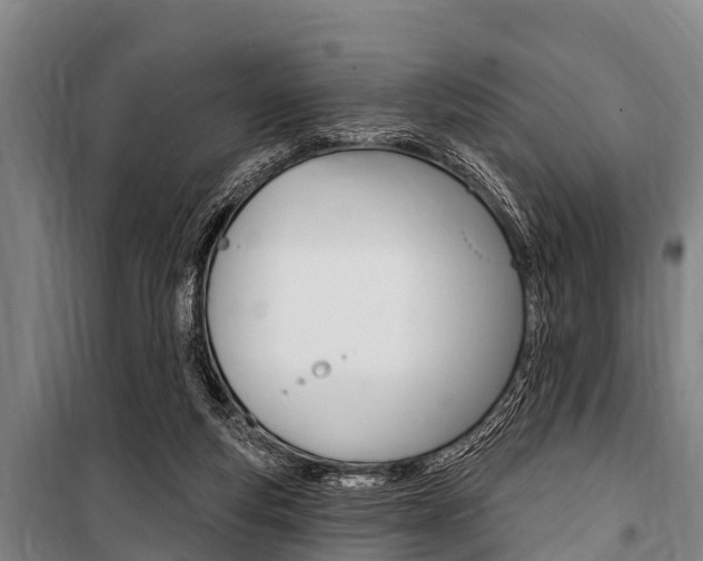 X0000101150163200806270808