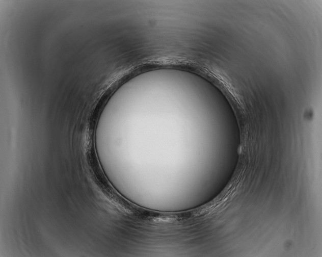 X0000101150164200806270808