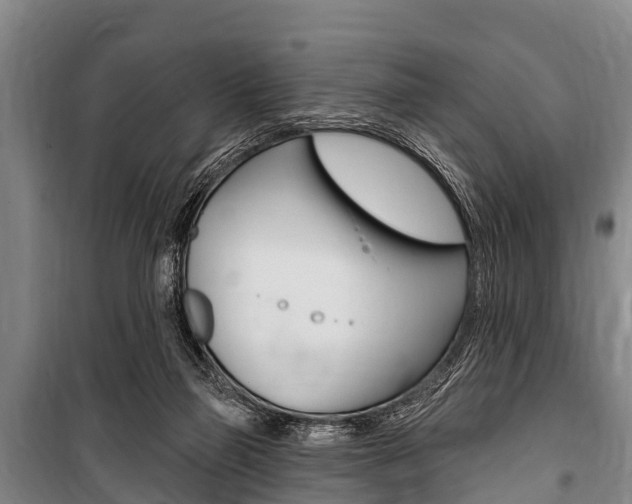 X0000101150165200806270808