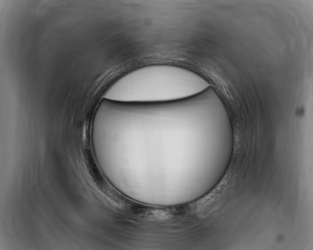 X0000101150166200806270808