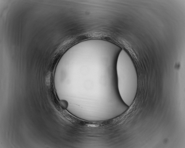 X0000101150167200806270808