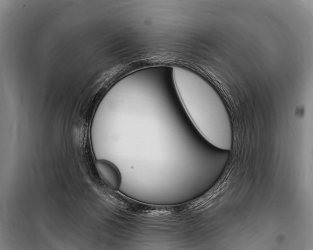 X0000101150168200806270808