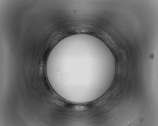 X0000101150169200806270808