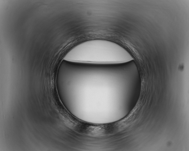 X0000101150170200806270808