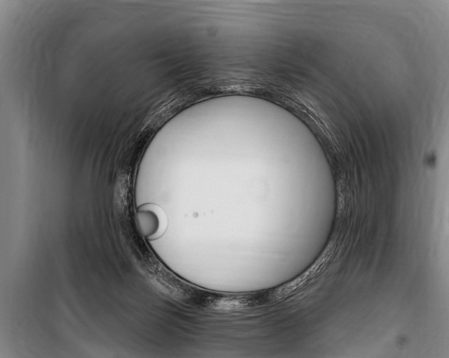 X0000101150171200806270808