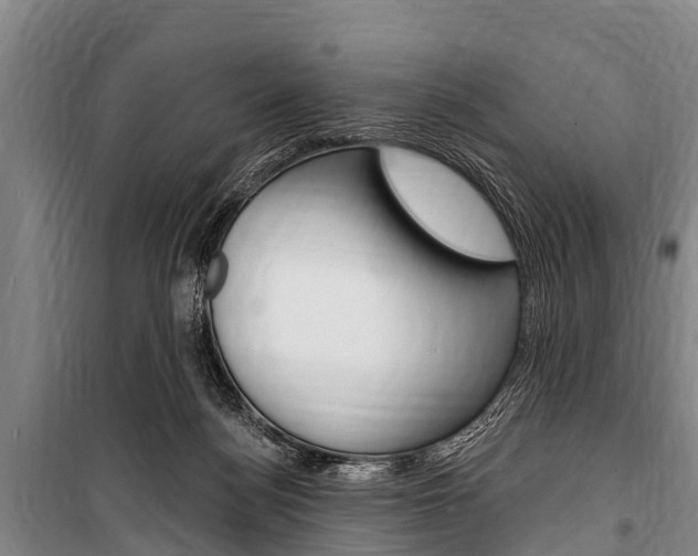 X0000101150172200806270808