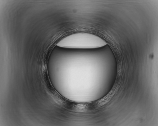 X0000101150176200806270808