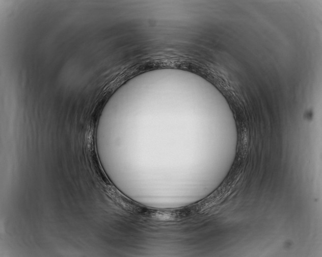 X0000101150177200806270808