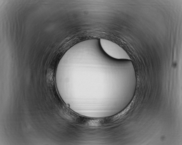 X0000101150178200806270808