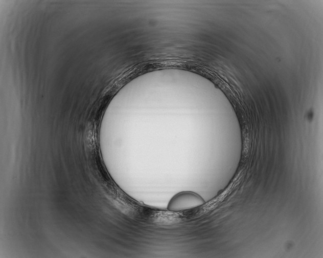 X0000101150179200806270808