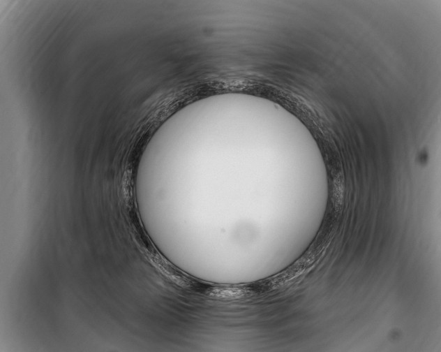 X0000101150181200806270808