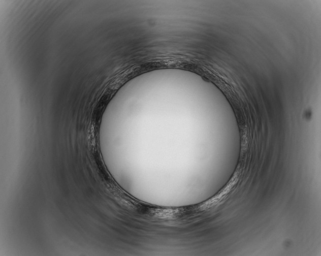 X0000101150182200806270808