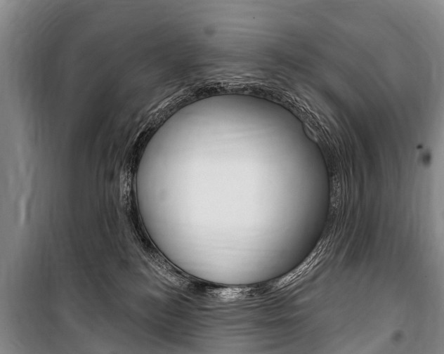 X0000101150184200806270808