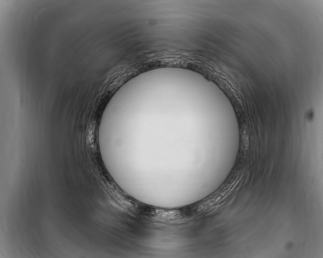 X0000101150185200806270808