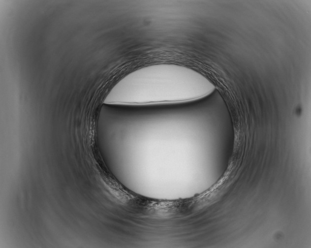 X0000101150186200806270808