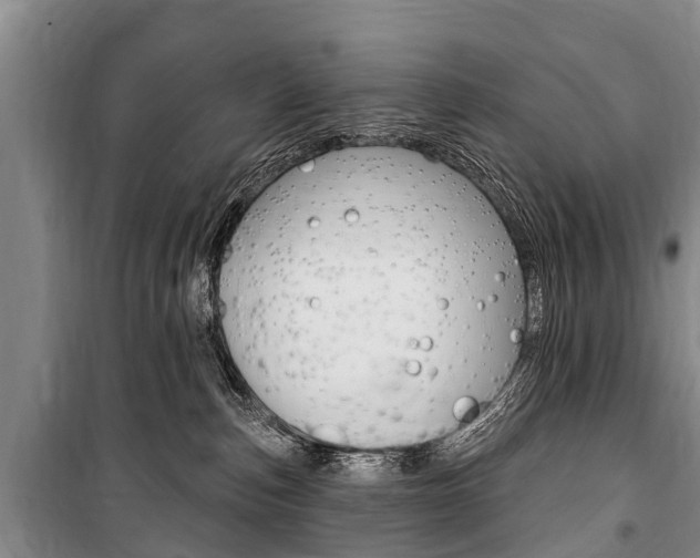 X0000101150187200806270808